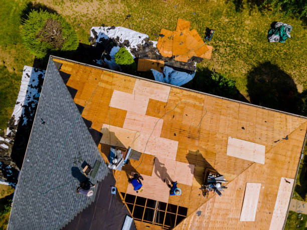 Best Roof Gutter Cleaning  in Mcclure, PA