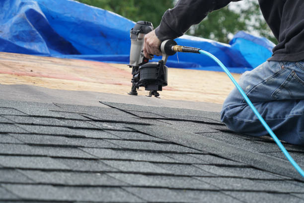 Best Roof Gutter Cleaning  in Mcclure, PA